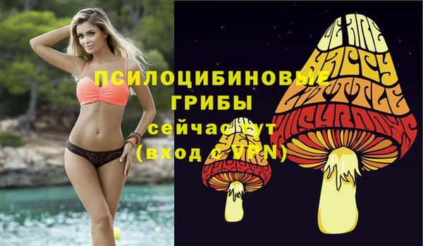 mix Абинск