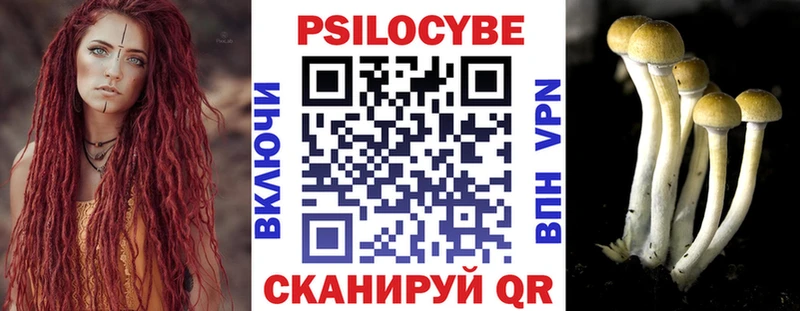 наркошоп  Алапаевск  Галлюциногенные грибы прущие грибы 