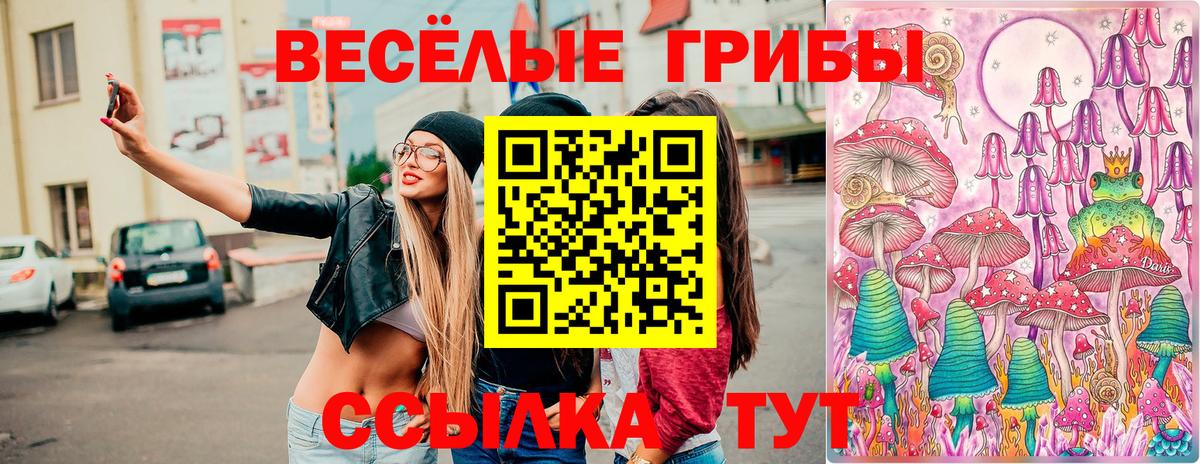 Псилоцибиновые грибы Psilocybine cubensis  Вход с VPN  Галлюциногенные грибы Psilocybe  Алапаевск 
