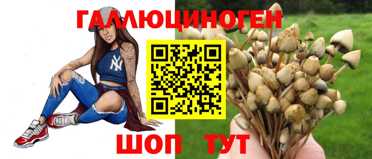Галлюциногенные грибы мухоморы Алапаевск